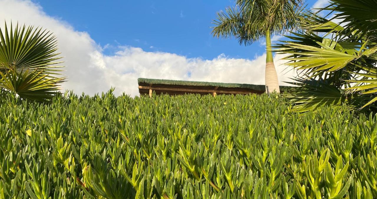 Finca Gaia La Segunda Guia de Isora  Exterior photo