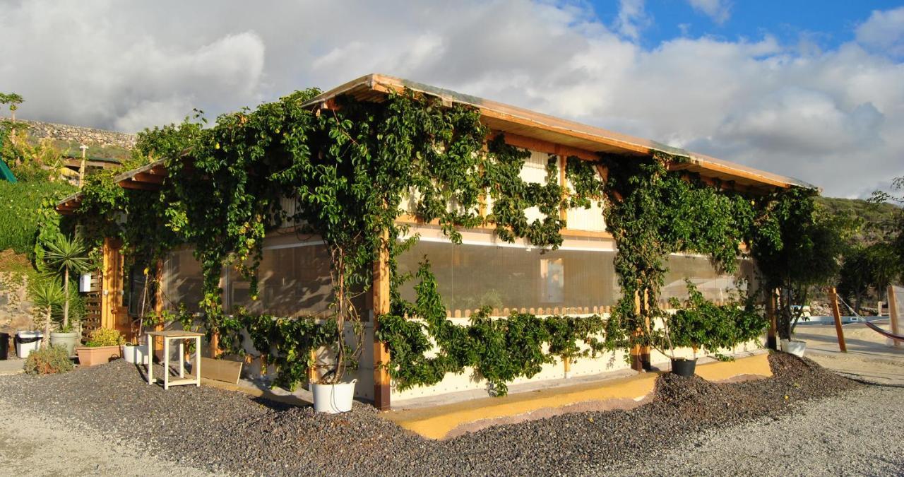 Finca Gaia La Segunda Guia de Isora  Exterior photo